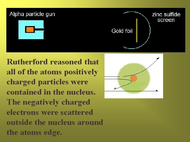 Rutherford reasoned that all of the atoms positively charged particles were contained in the