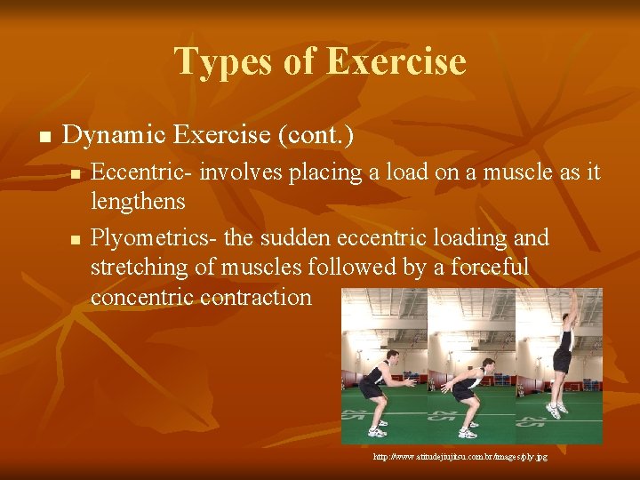 Types of Exercise n Dynamic Exercise (cont. ) n n Eccentric- involves placing a