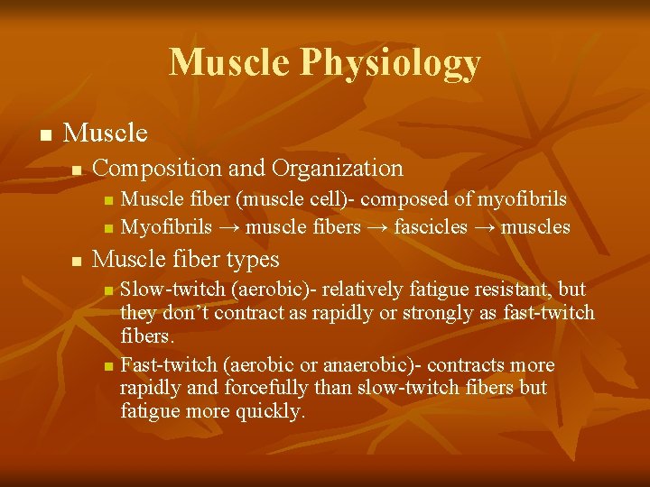 Muscle Physiology n Muscle n Composition and Organization Muscle fiber (muscle cell)- composed of