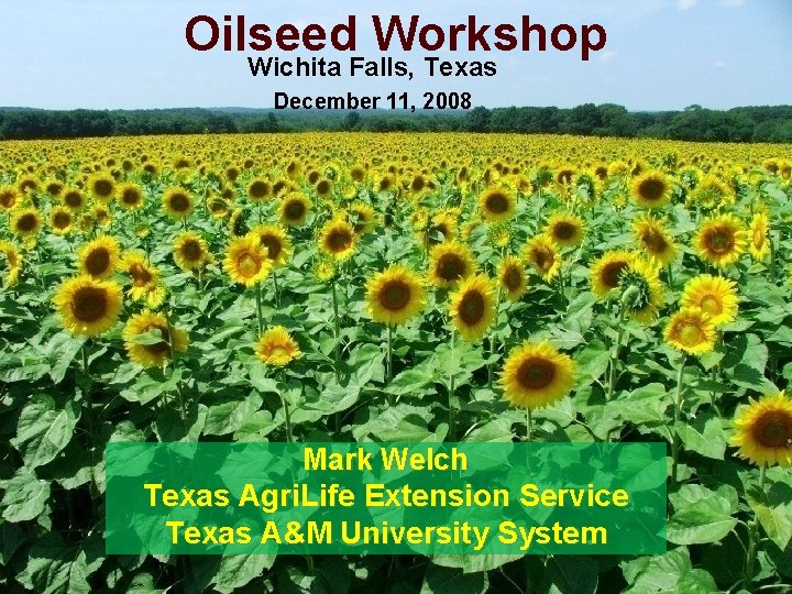 Oilseed Workshop Wichita Falls, Texas December 11, 2008 Mark Welch Texas Agri. Life Extension