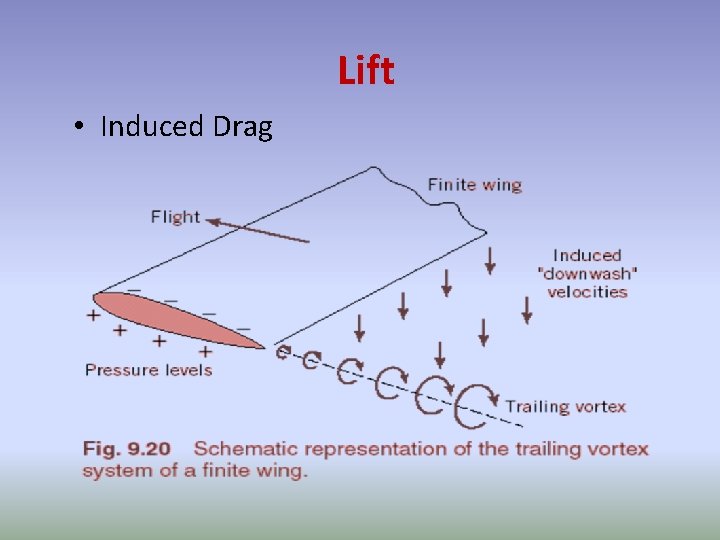 Lift • Induced Drag 