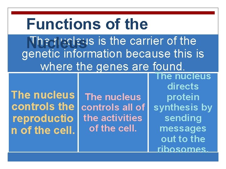 Functions of the The nucleus is the carrier of the Nucleus genetic information because