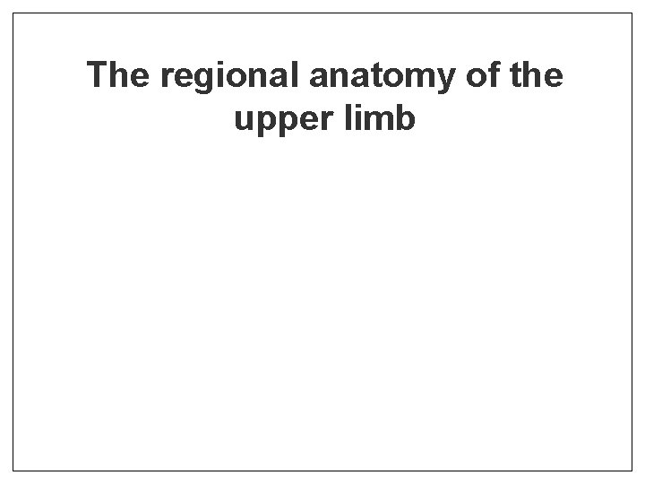 The regional anatomy of the upper limb 