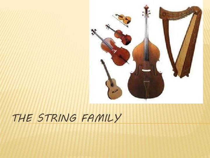 THE STRING FAMILY 