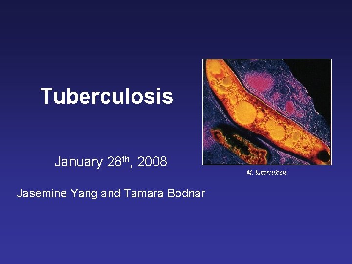 Tuberculosis January 28 th, 2008 M. tuberculosis Jasemine Yang and Tamara Bodnar 