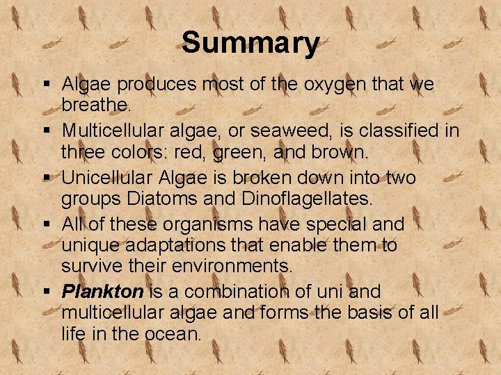 Summary § Algae produces most of the oxygen that we breathe. § Multicellular algae,