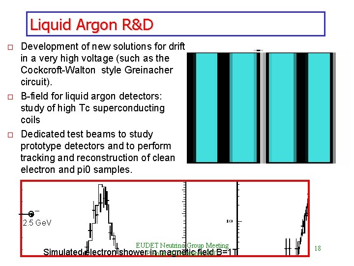 Liquid Argon R&D o o o Development of new solutions for drift in a