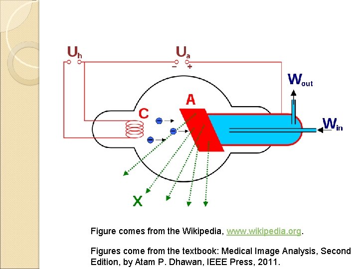 Figure comes from the Wikipedia, www. wikipedia. org. Figures come from the textbook: Medical