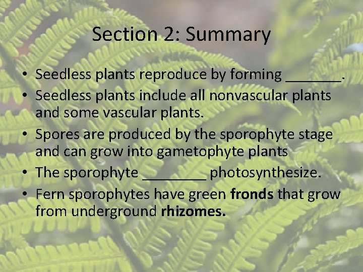 Section 2: Summary • Seedless plants reproduce by forming _______. • Seedless plants include