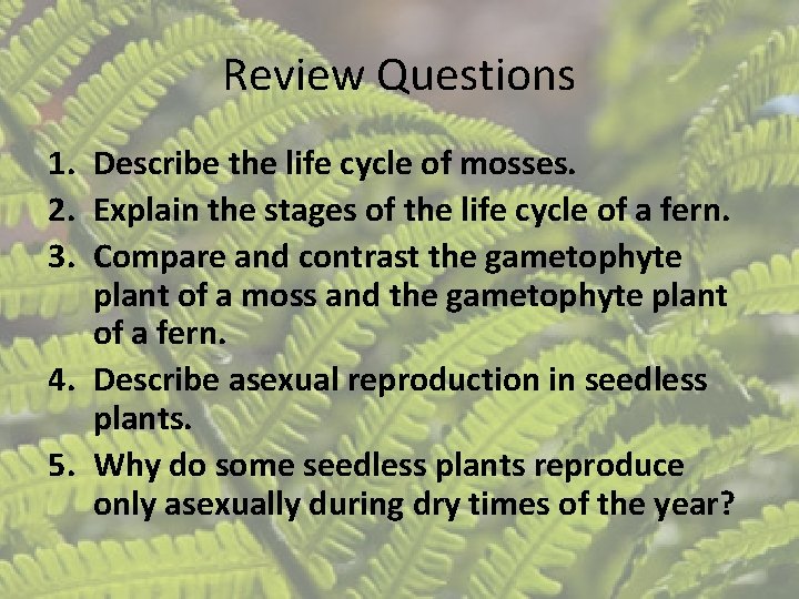 Review Questions 1. Describe the life cycle of mosses. 2. Explain the stages of Review Questions 1. Describe the life cycle of mosses. 2. Explain the stages of