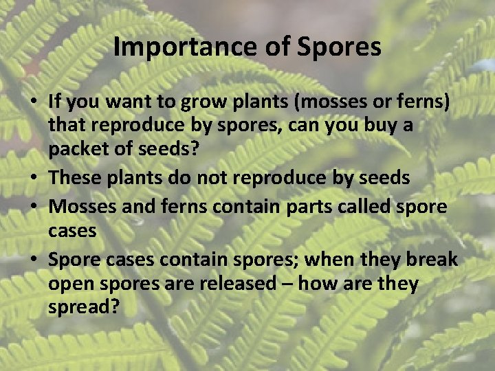 Importance of Spores • If you want to grow plants (mosses or ferns) that