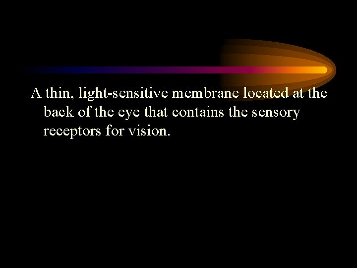 A thin, light-sensitive membrane located at the back of the eye that contains the