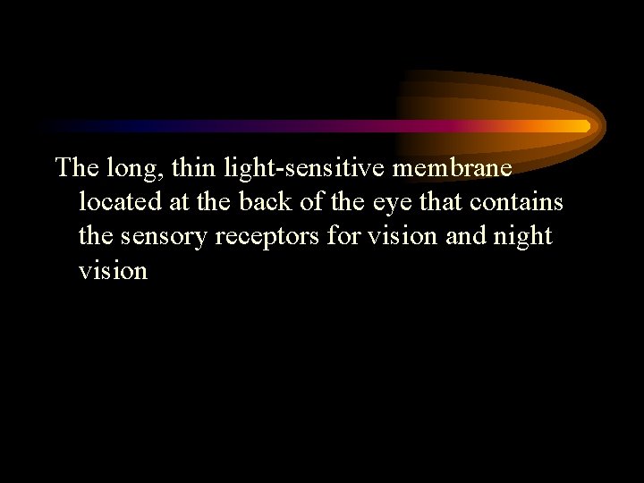 The long, thin light-sensitive membrane located at the back of the eye that contains