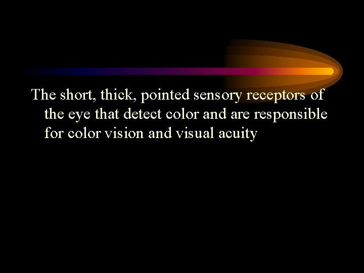 The short, thick, pointed sensory receptors of the eye that detect color and are