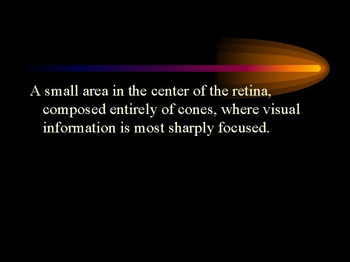 A small area in the center of the retina, composed entirely of cones, where