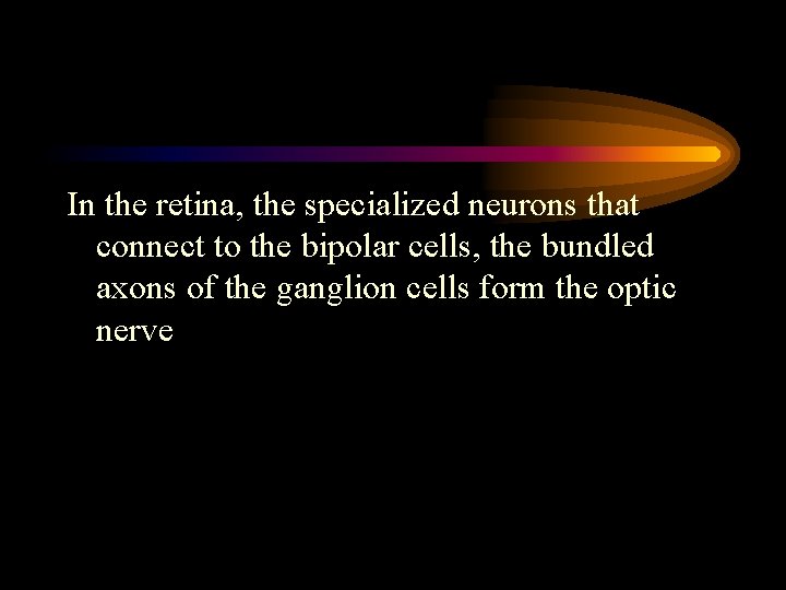 In the retina, the specialized neurons that connect to the bipolar cells, the bundled