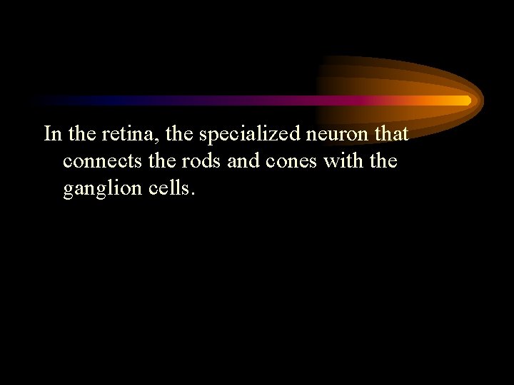 In the retina, the specialized neuron that connects the rods and cones with the