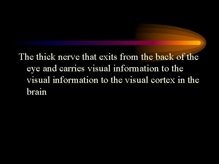 The thick nerve that exits from the back of the eye and carries visual