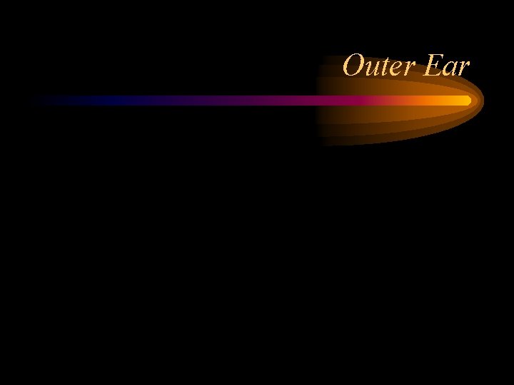 Outer Ear 