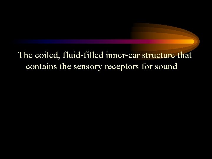 The coiled, fluid-filled inner-ear structure that contains the sensory receptors for sound 