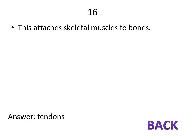 16 • This attaches skeletal muscles to bones. Answer: tendons 