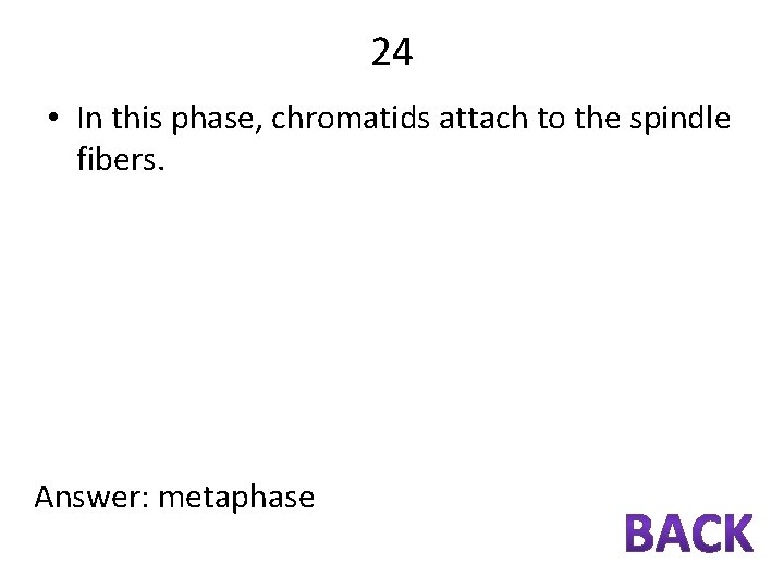 24 • In this phase, chromatids attach to the spindle fibers. Answer: metaphase 