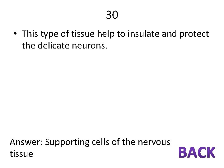 30 • This type of tissue help to insulate and protect the delicate neurons.