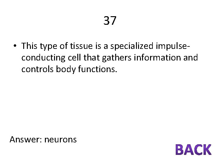 37 • This type of tissue is a specialized impulseconducting cell that gathers information