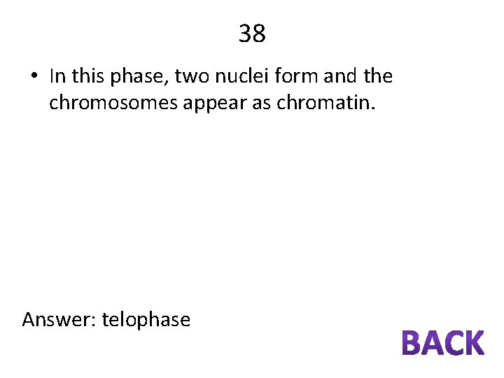 38 • In this phase, two nuclei form and the chromosomes appear as chromatin.