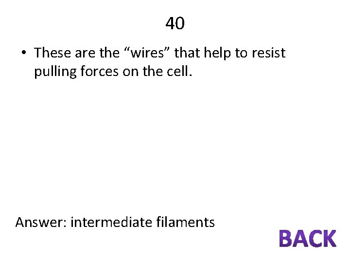 40 • These are the “wires” that help to resist pulling forces on the