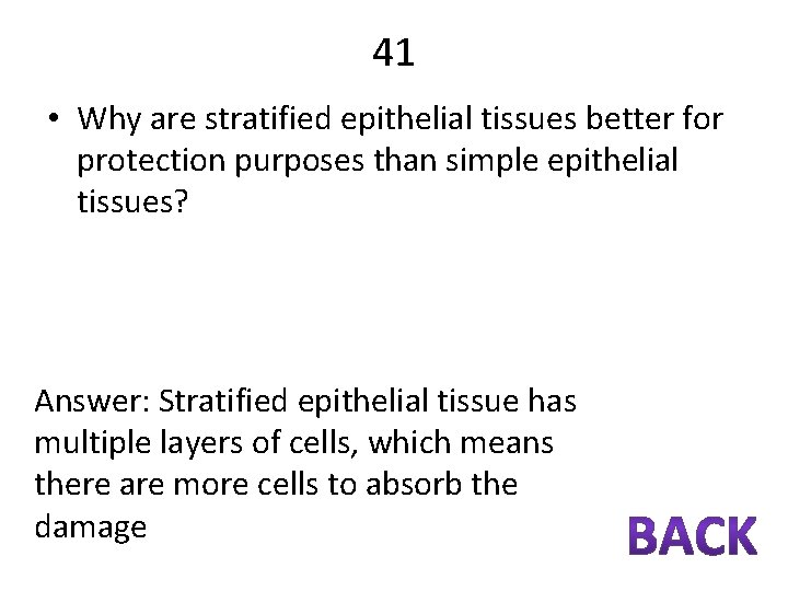 41 • Why are stratified epithelial tissues better for protection purposes than simple epithelial