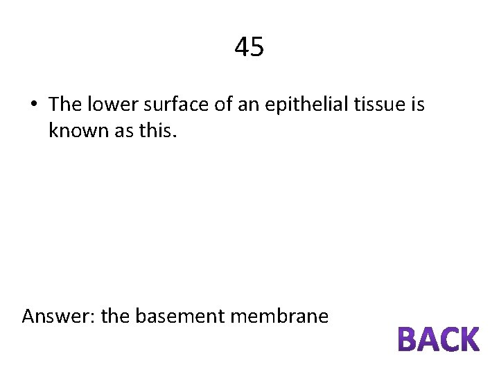 45 • The lower surface of an epithelial tissue is known as this. Answer: