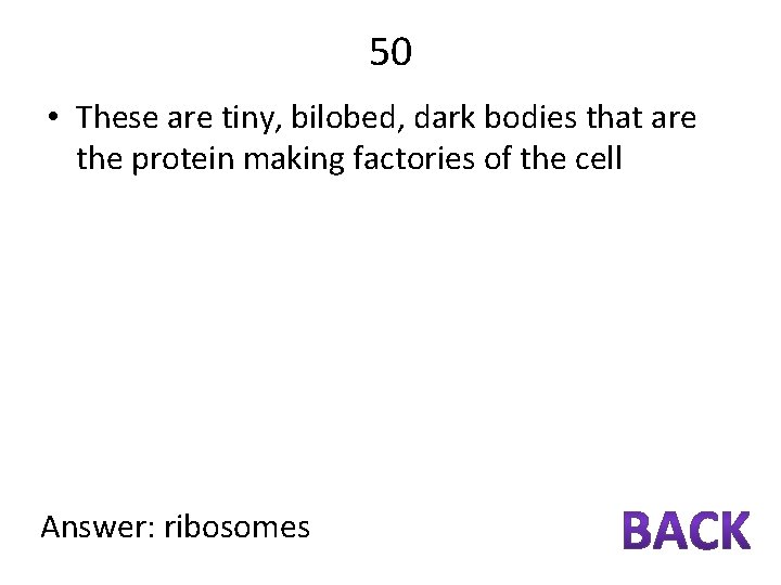 50 • These are tiny, bilobed, dark bodies that are the protein making factories