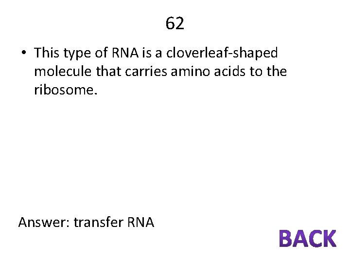 62 • This type of RNA is a cloverleaf-shaped molecule that carries amino acids