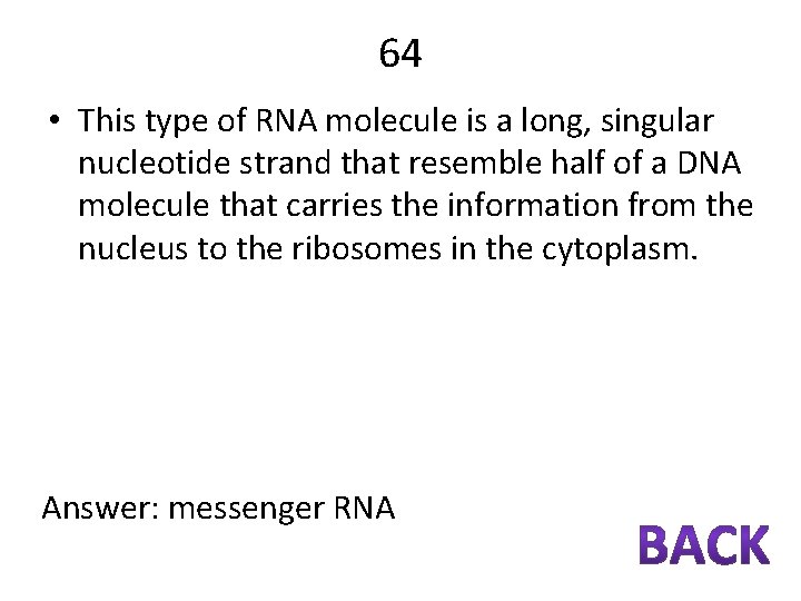 64 • This type of RNA molecule is a long, singular nucleotide strand that