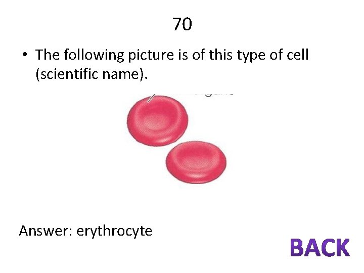 70 • The following picture is of this type of cell (scientific name). Answer: