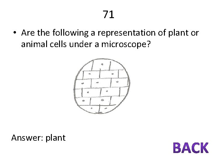 71 • Are the following a representation of plant or animal cells under a
