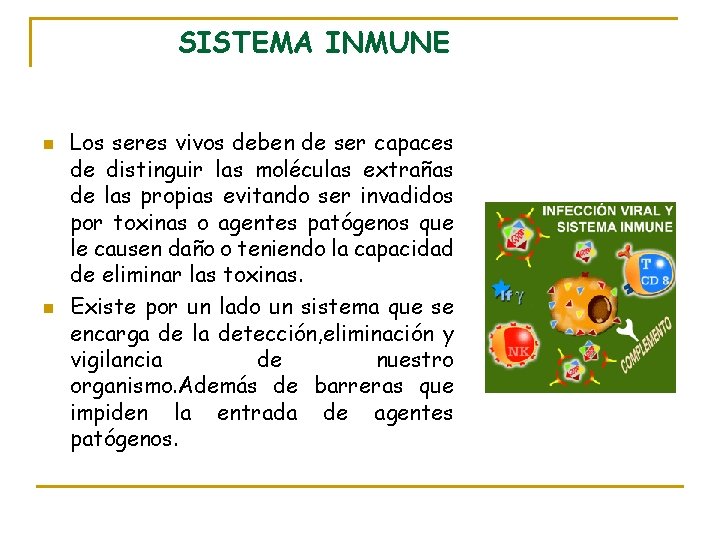 SISTEMA INMUNE n n Los seres vivos deben de ser capaces de distinguir las