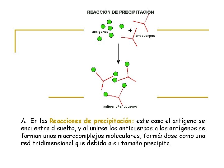 A. En las Reacciones de precipitación: este caso el antígeno se encuentra disuelto, y