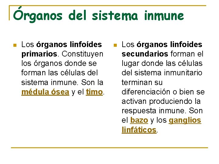 Órganos del sistema inmune n Los órganos linfoídes primarios. Constituyen los órganos donde se