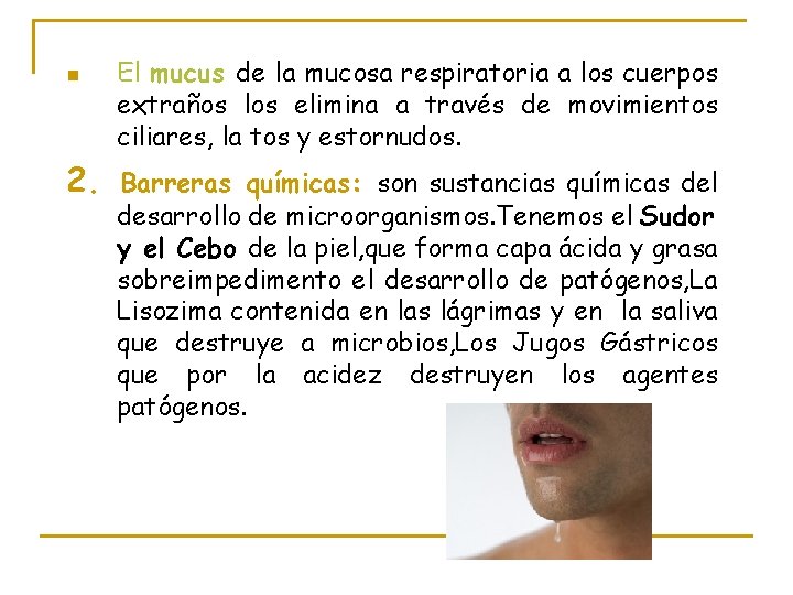 n 2. El mucus de la mucosa respiratoria a los cuerpos extraños los elimina