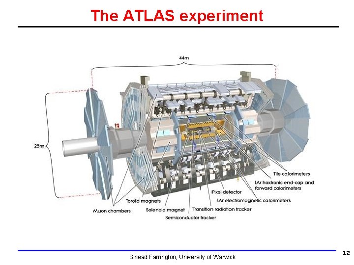 The ATLAS experiment Sinead Farrington, University of Warwick 12 The ATLAS experiment Sinead Farrington, University of Warwick 12