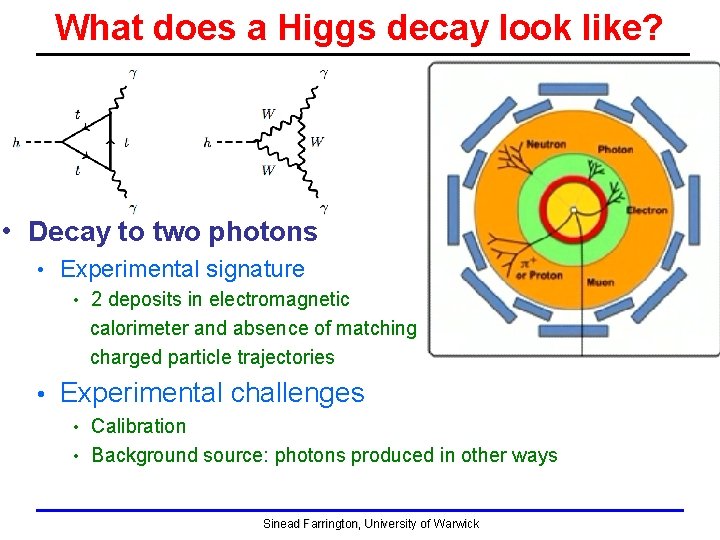 What does a Higgs decay look like? • Decay to two photons • Experimental What does a Higgs decay look like? • Decay to two photons • Experimental