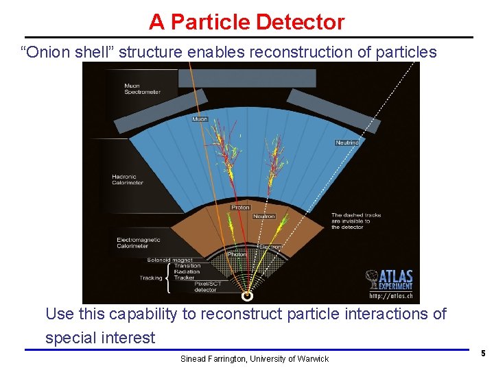 A Particle Detector “Onion shell” structure enables reconstruction of particles Use this capability to A Particle Detector “Onion shell” structure enables reconstruction of particles Use this capability to