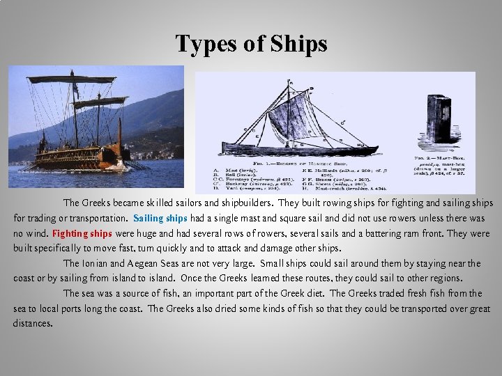 Types of Ships The Greeks became skilled sailors and shipbuilders. They built rowing ships