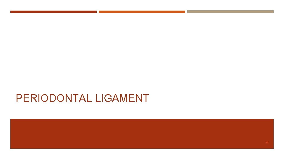 PERIODONTAL LIGAMENT 15 