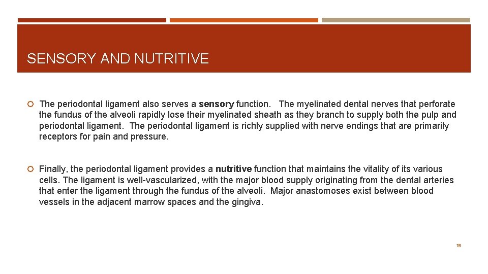 SENSORY AND NUTRITIVE The periodontal ligament also serves a sensory function. The myelinated dental
