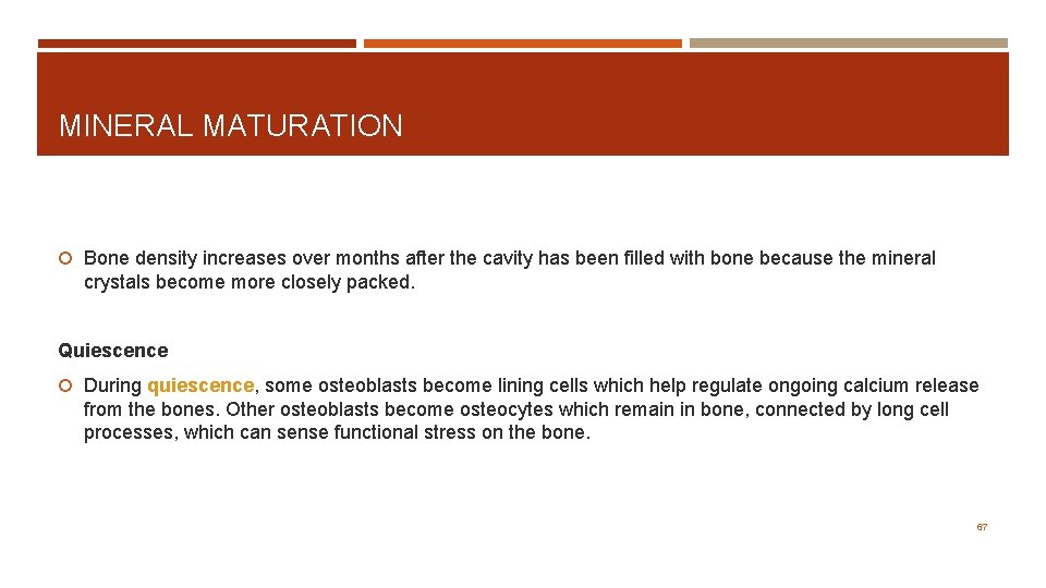 MINERAL MATURATION Bone density increases over months after the cavity has been filled with