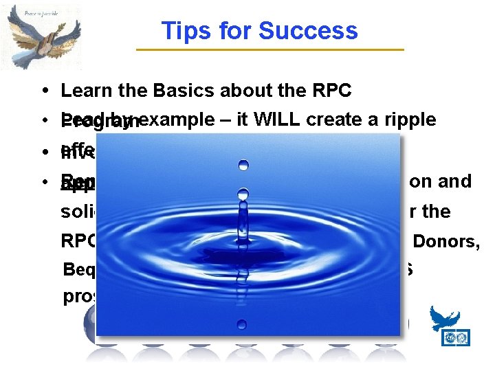 Tips for Success • Learn the Basics about the RPC • Lead by example