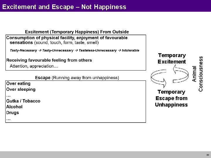 Temporary Excitement Temporary Escape from Unhappiness Animal Consciousness Excitement and Escape – Not Happiness